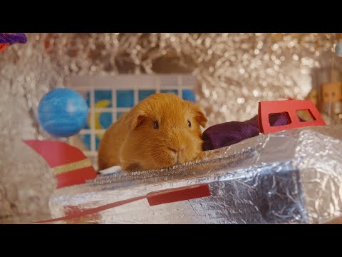 Sherbert Rozencrantz, You&#039;re Beautiful - Trailer